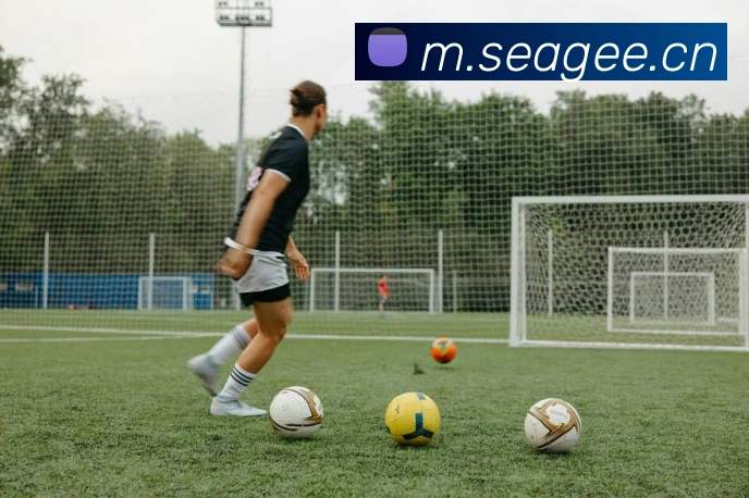 欧宝app发展历程